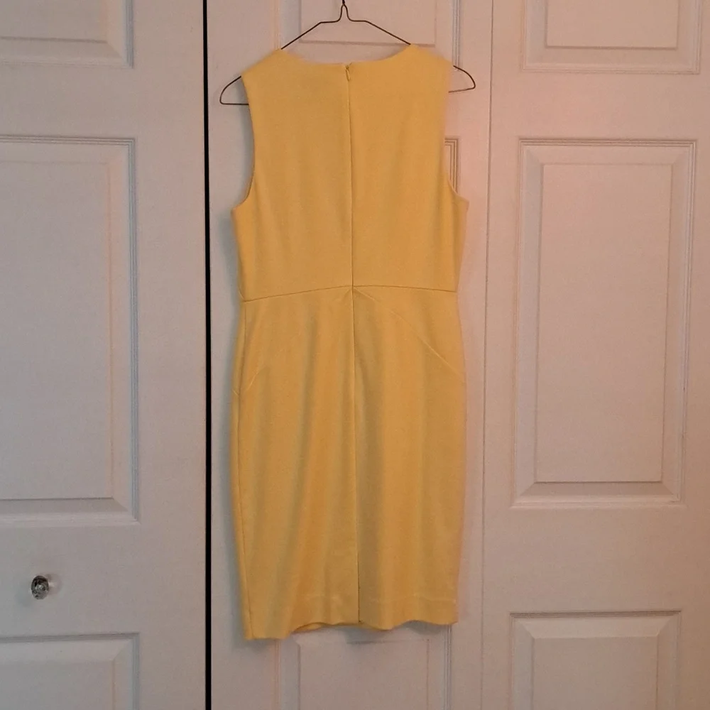 The Limited Dress - Picture 5 of 7